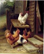 unknow artist Cocks 123 oil painting picture wholesale
